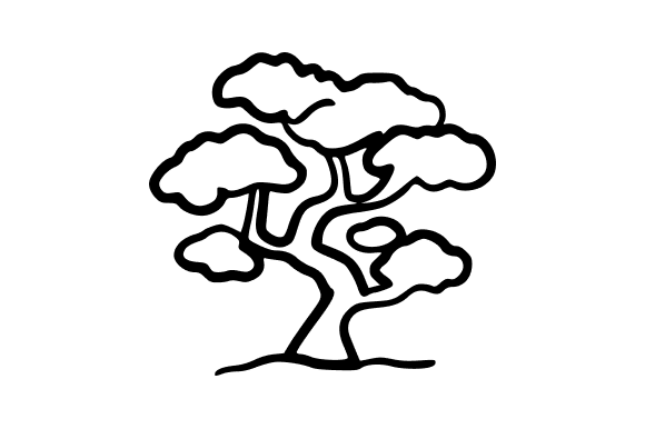 Outline Bonsai Tree Graphics and Illustrations